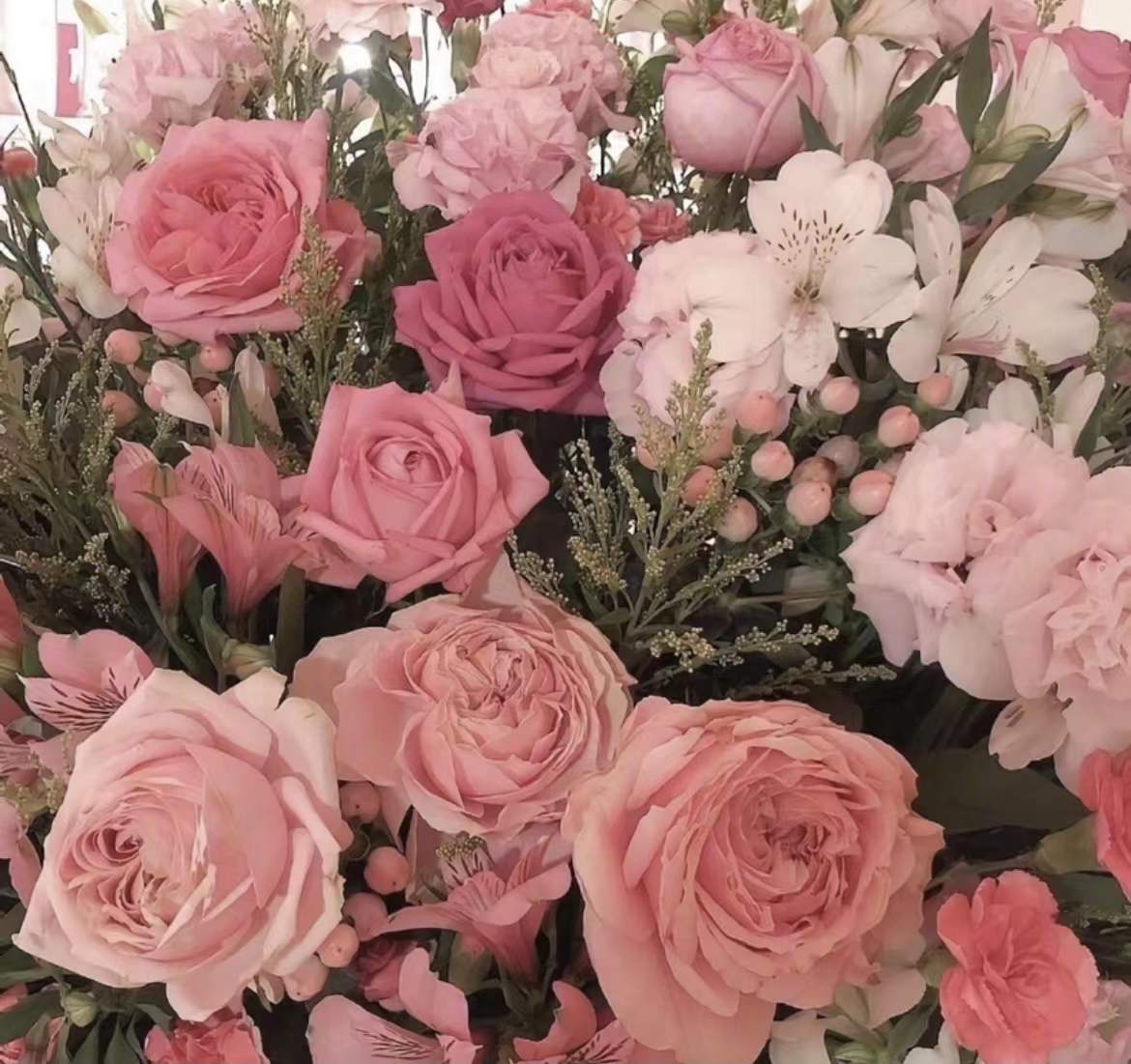 �����ִ�������Ԣ���Ů������