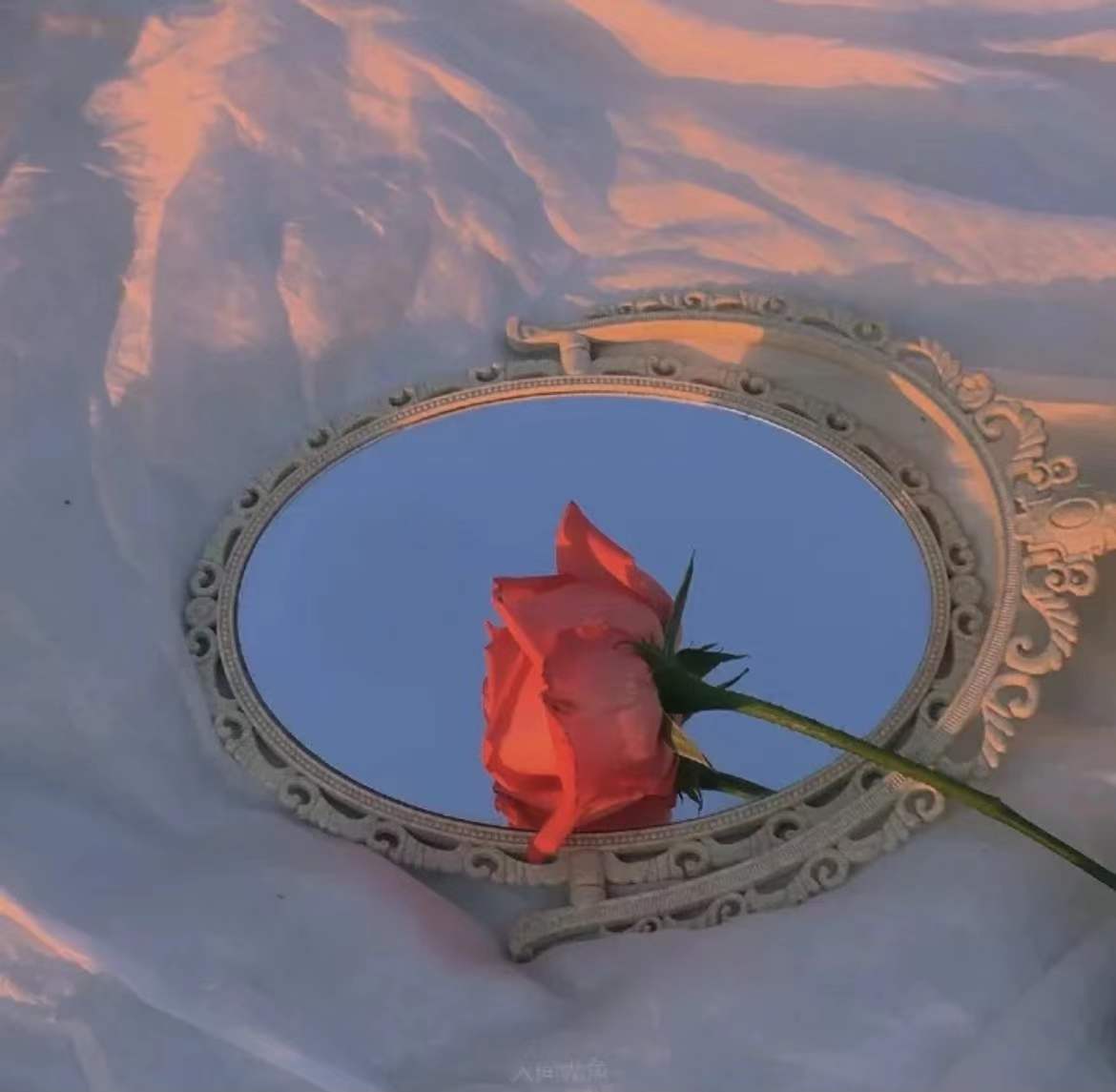 ����Ů��ȡ����Ԣ����� ����Ů������������