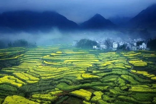 ������Ů����ʲô���ֱȽϺã�����Ů�������к��������־�ѡ