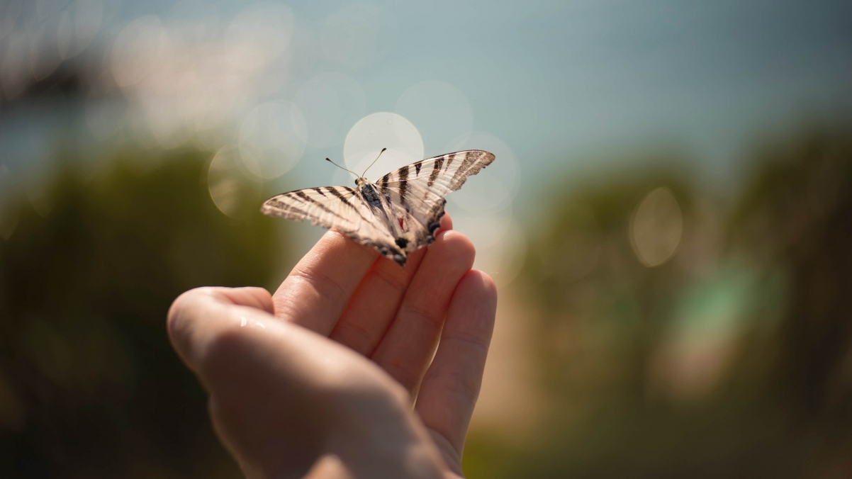 �����б������ִ�ȫ2022����