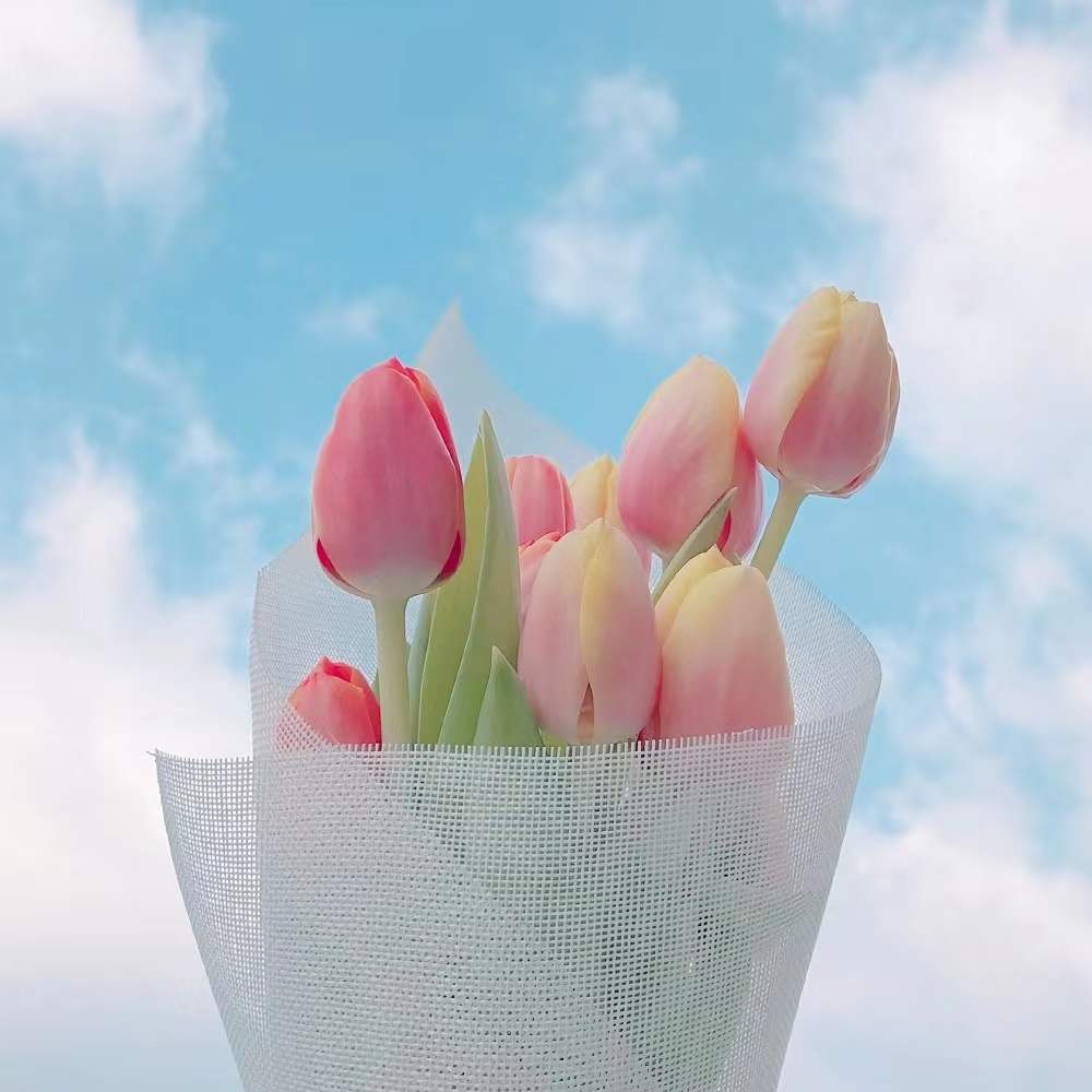 2022�껢����ȡ���������Ů��