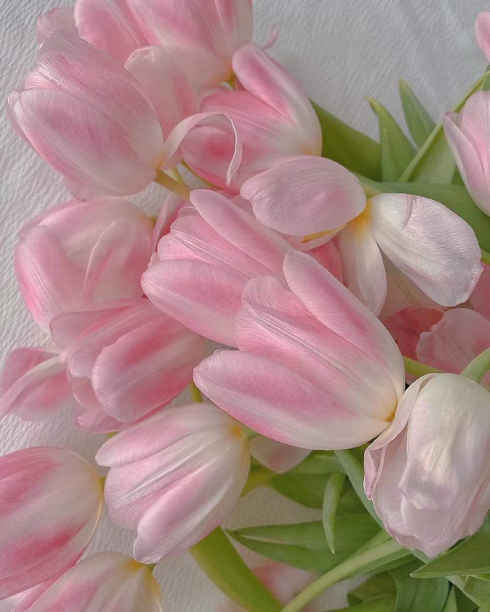 ����ȡ����Ԣ����� �����ֵ�Ů����������