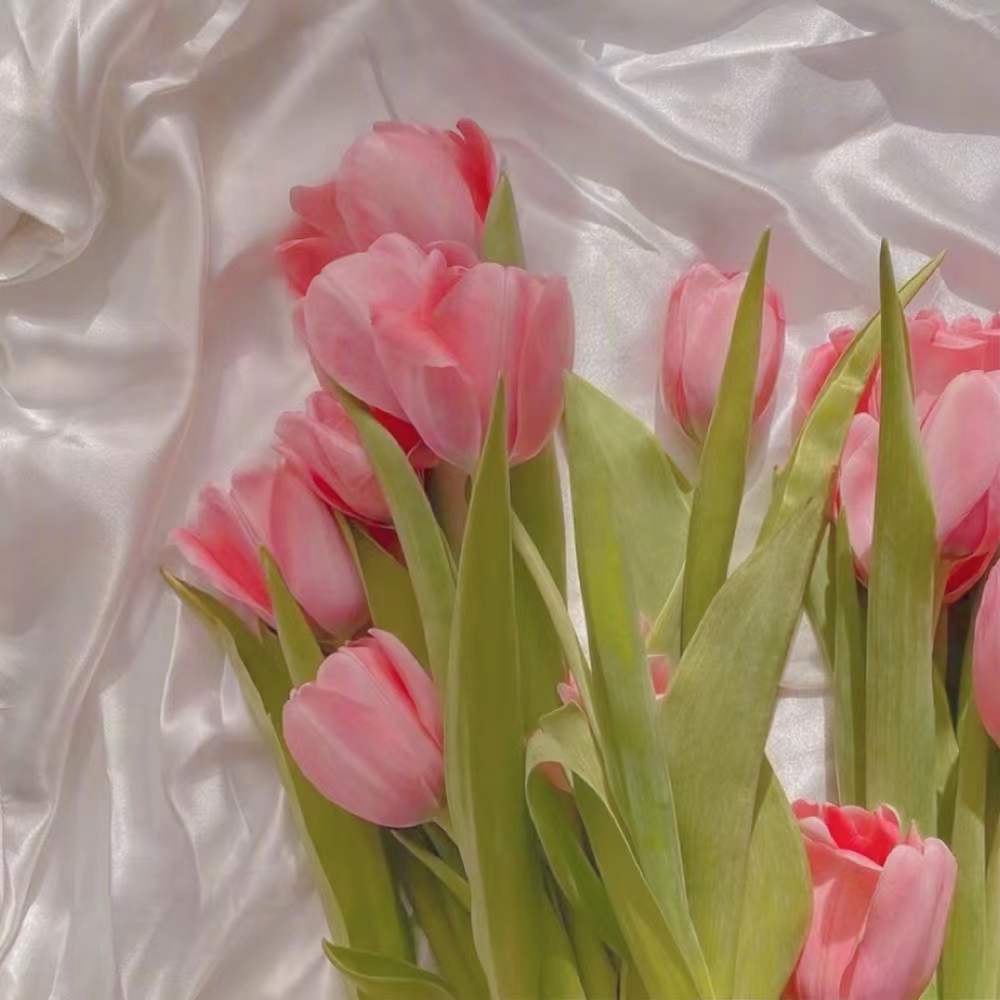 һȡ���ֵ���˼��ʲô ��һ��ȡ���ֺ������к�����