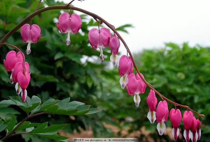 ����Ů�����ִ�ȫ2022������