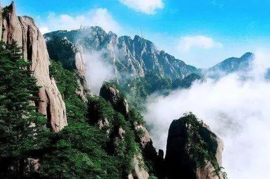 ����Ϊʲô���ף����ֵ�ȡ������Ϊ�׻�������