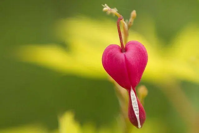 ����Ů�����ִ�ȫ2022�������°�