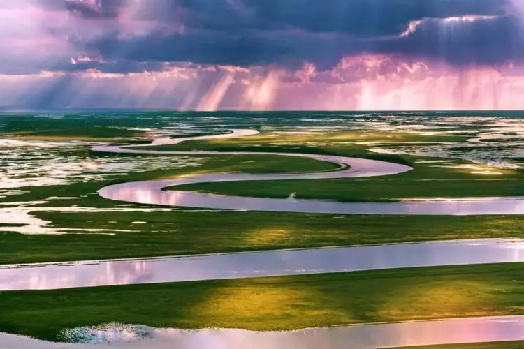 2022���������к���������