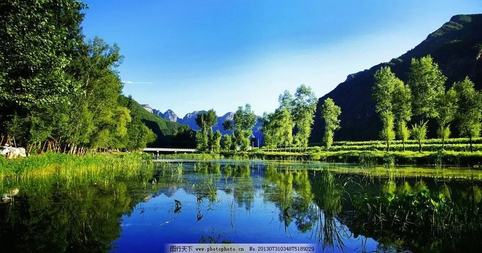 ����ϡ�ٵ������б������ִ�ȫ2022