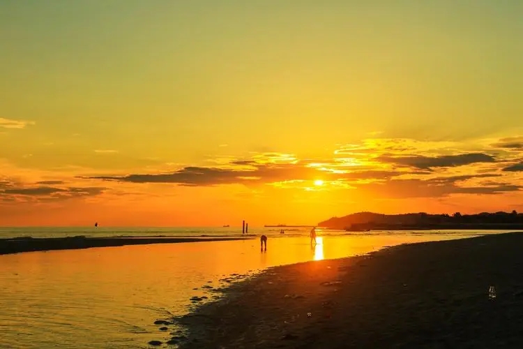 ����������ֺò���