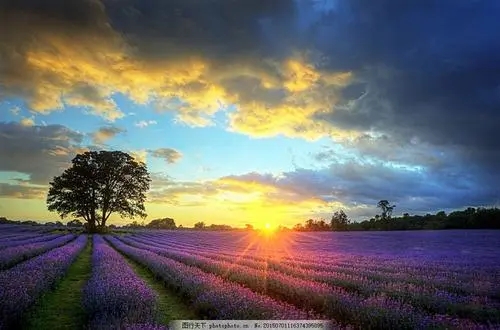 �����������������ô����