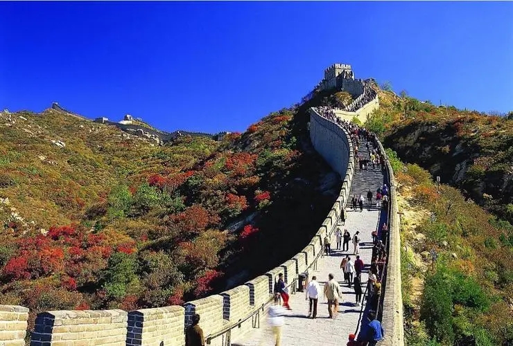 Ң��ȡ��Ԣ����ʲô������ɶ����Ң�ֵ��к����ִ�ȫ