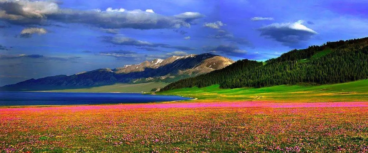 �ջƺ���ϡ�ٵ��к�����������ȫ