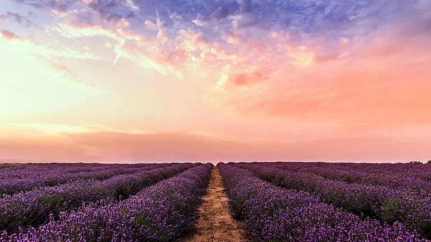 ����ȡ����Ԣ��Ů�����ִ�ȫ�����ݺ������������Լ�ȡ��ע�����