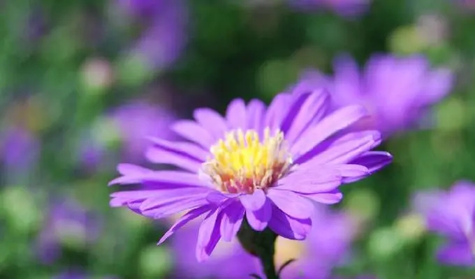 ������ô��������ʲô������Ů������Ԣ����ʲô