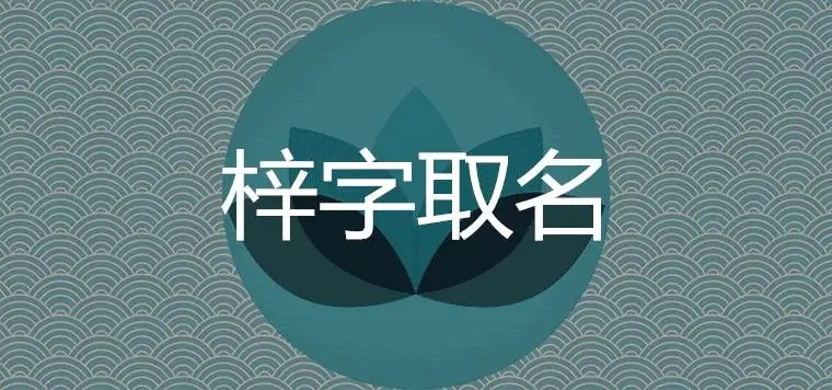 ����������ʲôȡ����Ԣ���к�������ȡ��˧���к������Ƽ�