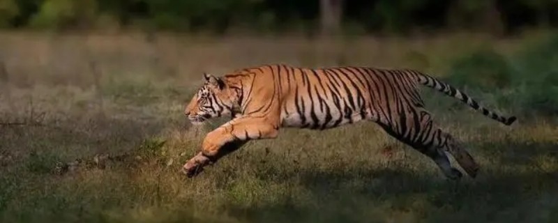 �����к����ִ�ȫ2022����