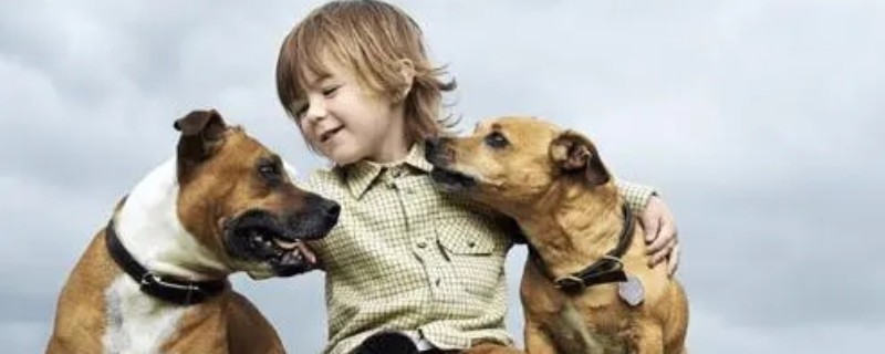 ԣ��������ʲôȡ����Ԣ���к���ԣ����������������к�