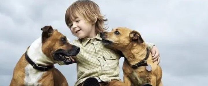 �Ϊʲô���ʺ������֣�