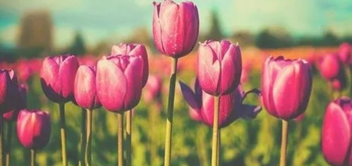 ������ô��������ʲôȡ����Ԣ����ʲô������ȡ�����ף�