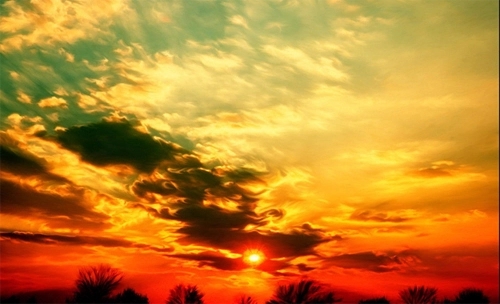 �����������ȡ������