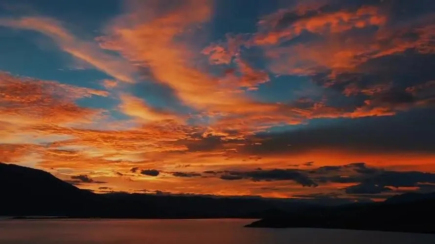 ���������������Ů��