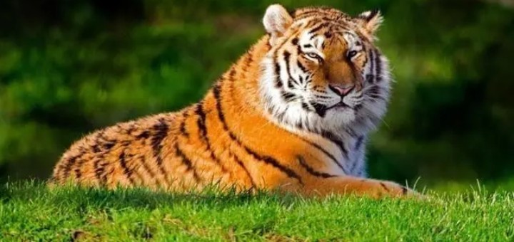 �����������ʮ�����к�