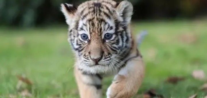 �����к�������ȫ������