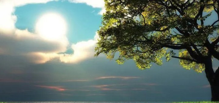 �ص��������Ů����