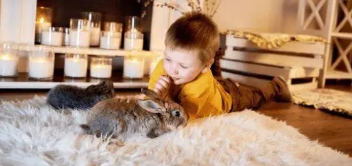 2022��ˮ�������к�����