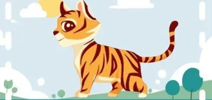 2023����Ů�����������С����������һ��ģ�