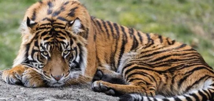 ���ȡ������������