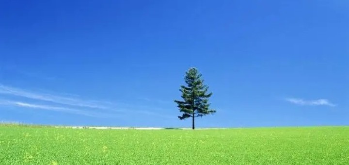 ܲ��һ����ѹ��ס��