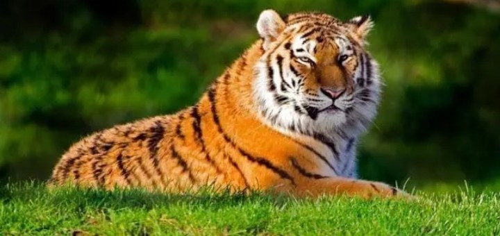 �����һ�޶��������к�