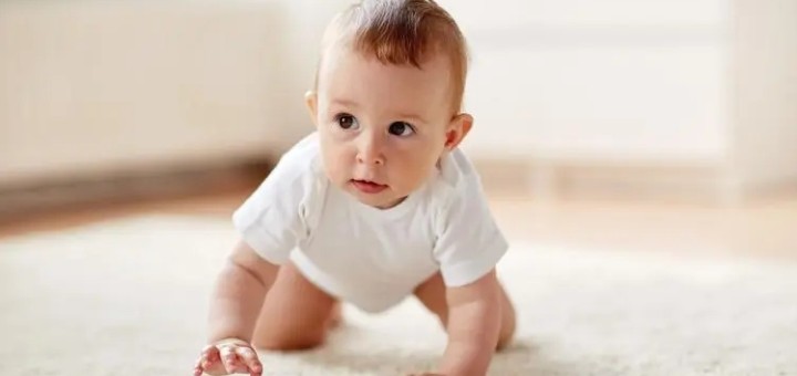 ţ���������ȡ���ò���