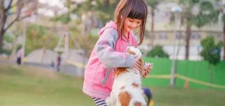 Ρ���ִ����ֲ�������