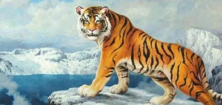 ����ϡ�ٵ��к���������