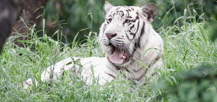 �����к�ȡ���ִ�ȫ���2022����