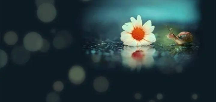 u=3835872172,3686679225&fm=253&fmt=auto&app=138&f=JPEG.webp_gaitubao_720x340.jpg