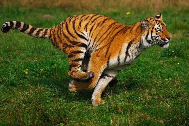 �����ʺϻ�����ȡ����