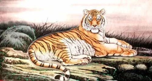 �����ĺ���������������ֺ���