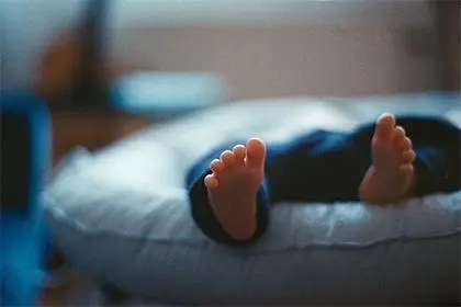 ������������ɽ��ľ�к�