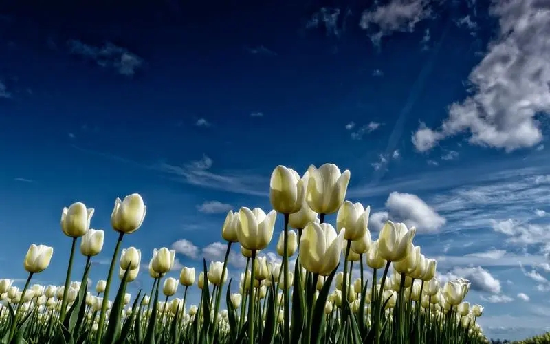 ˶��ʲô������к�����˶�İ����к����ִ�ȫ