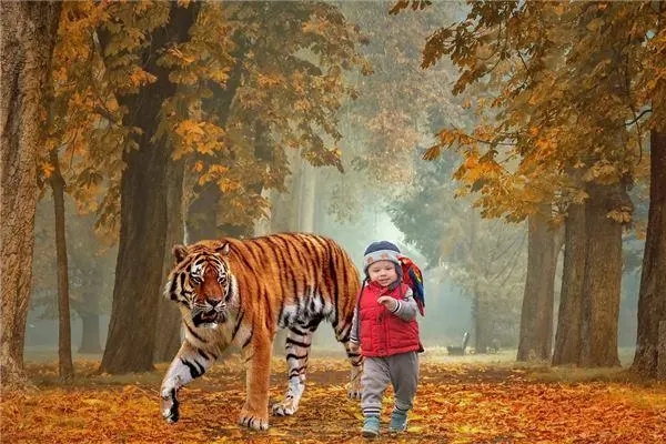 2022������Ů����������