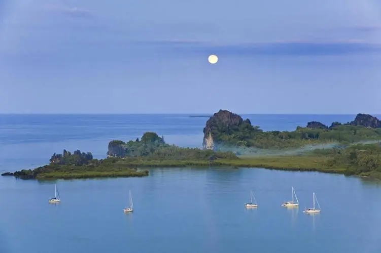 ����ȡ��������������