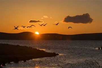 ������ô��������ʲôȡ����ʲôԢ�⣿������Ԣ�������