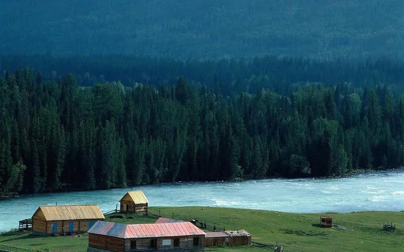 1652324750133101.jpg 为什么带舒的名字命不好?