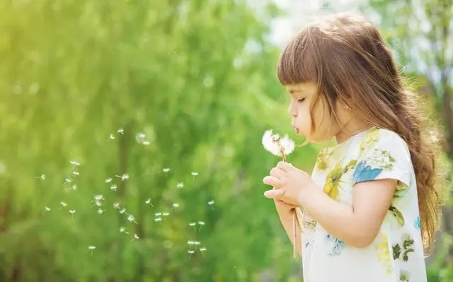 ����ȡ������������