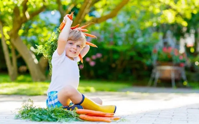 Ů��������ȡ���ò��ã�