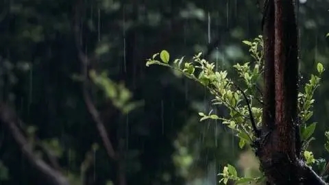 ΪʲôС���������ֲ��ã�