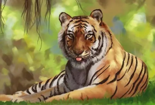 ����������ȫ�к�����